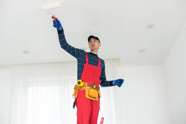 Best Basement Mold Removal  in USA